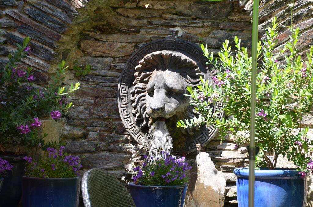 La Tour Du Lion Bed and Breakfast Rochefort-en-Terre Eksteriør billede